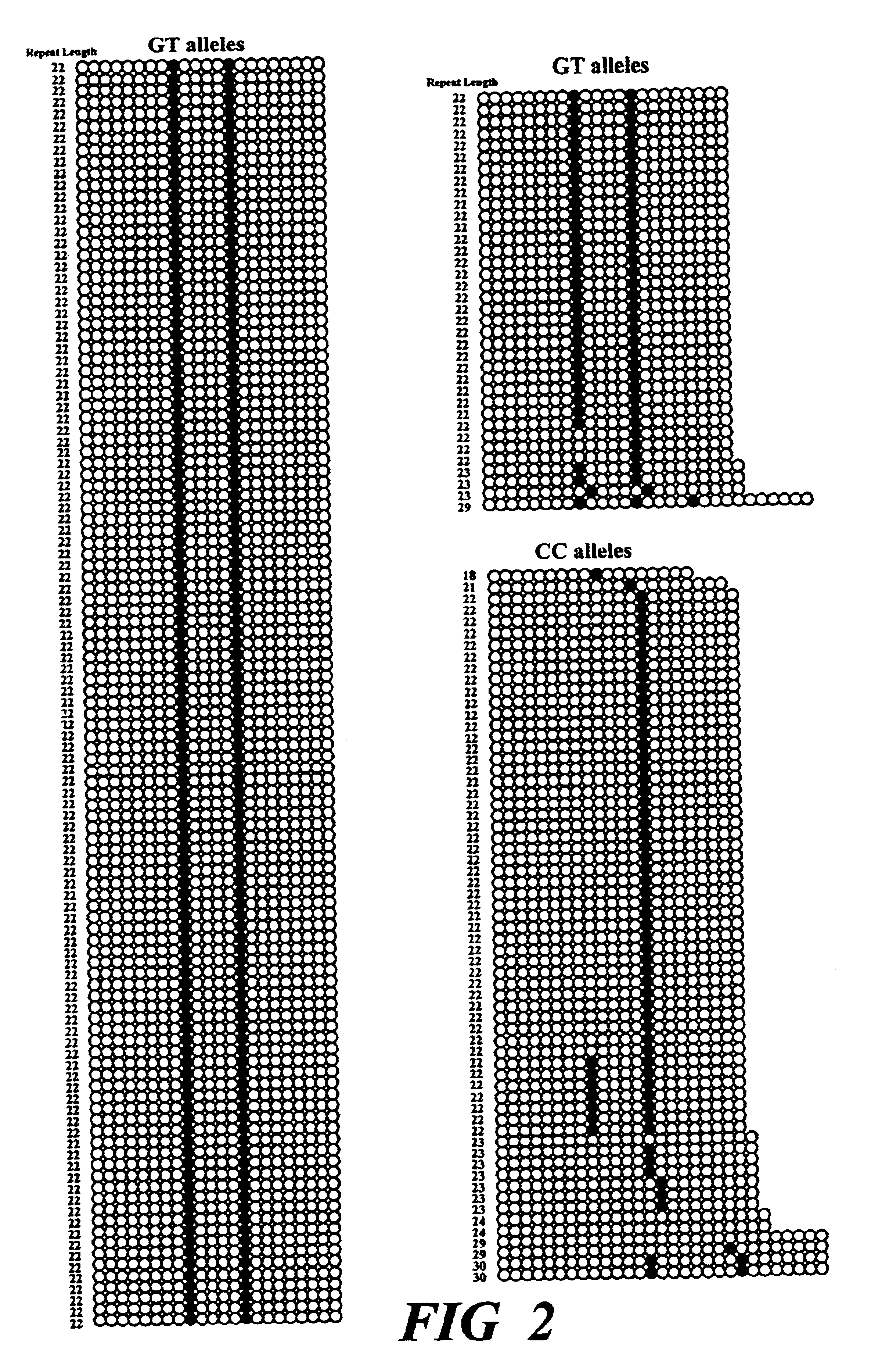 Method of detection of allelic variants of SCA2 gene