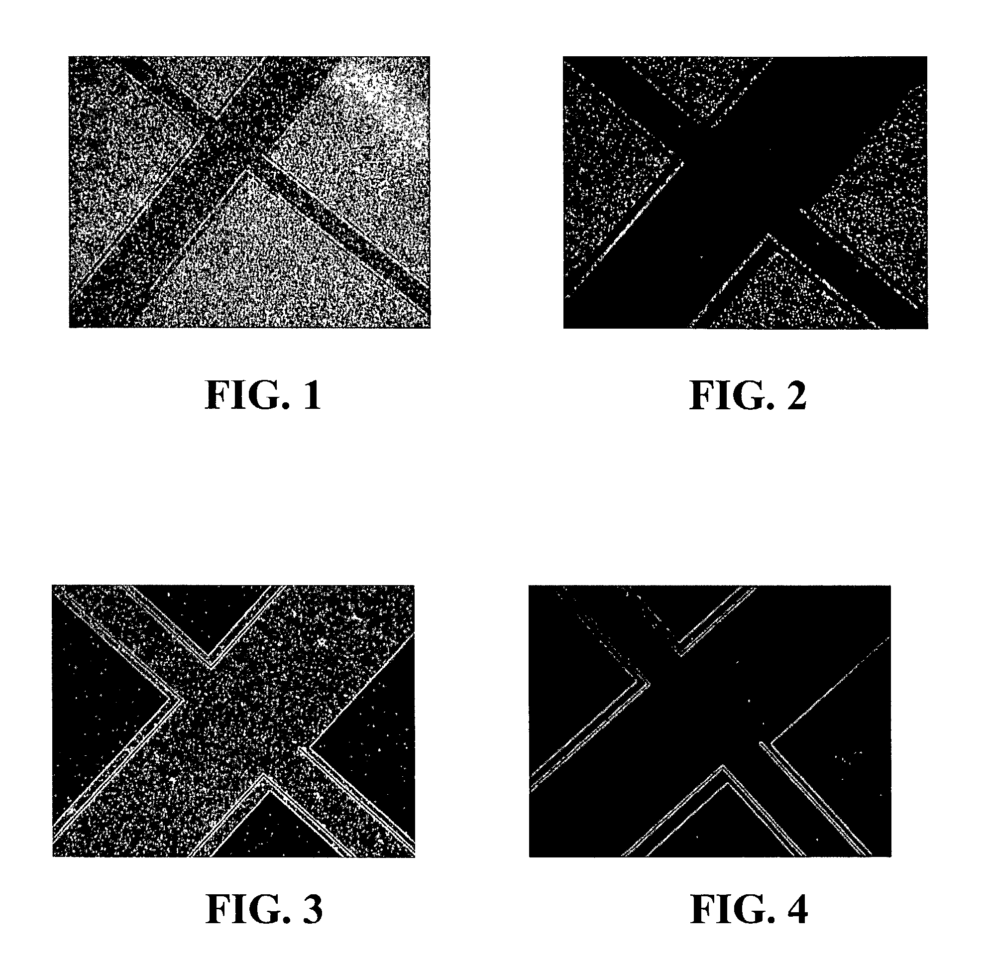 Removal of particle contamination on patterned silicon/silicon dioxide using supercritical carbon dioxide/chemical formulations