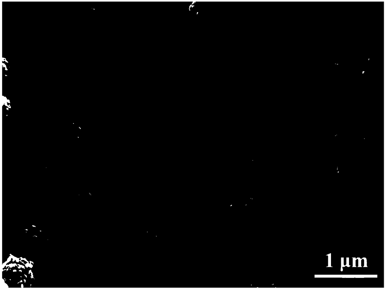 Nitrogen and phosphorus co-doped carbon material as well as preparation method and application thereof