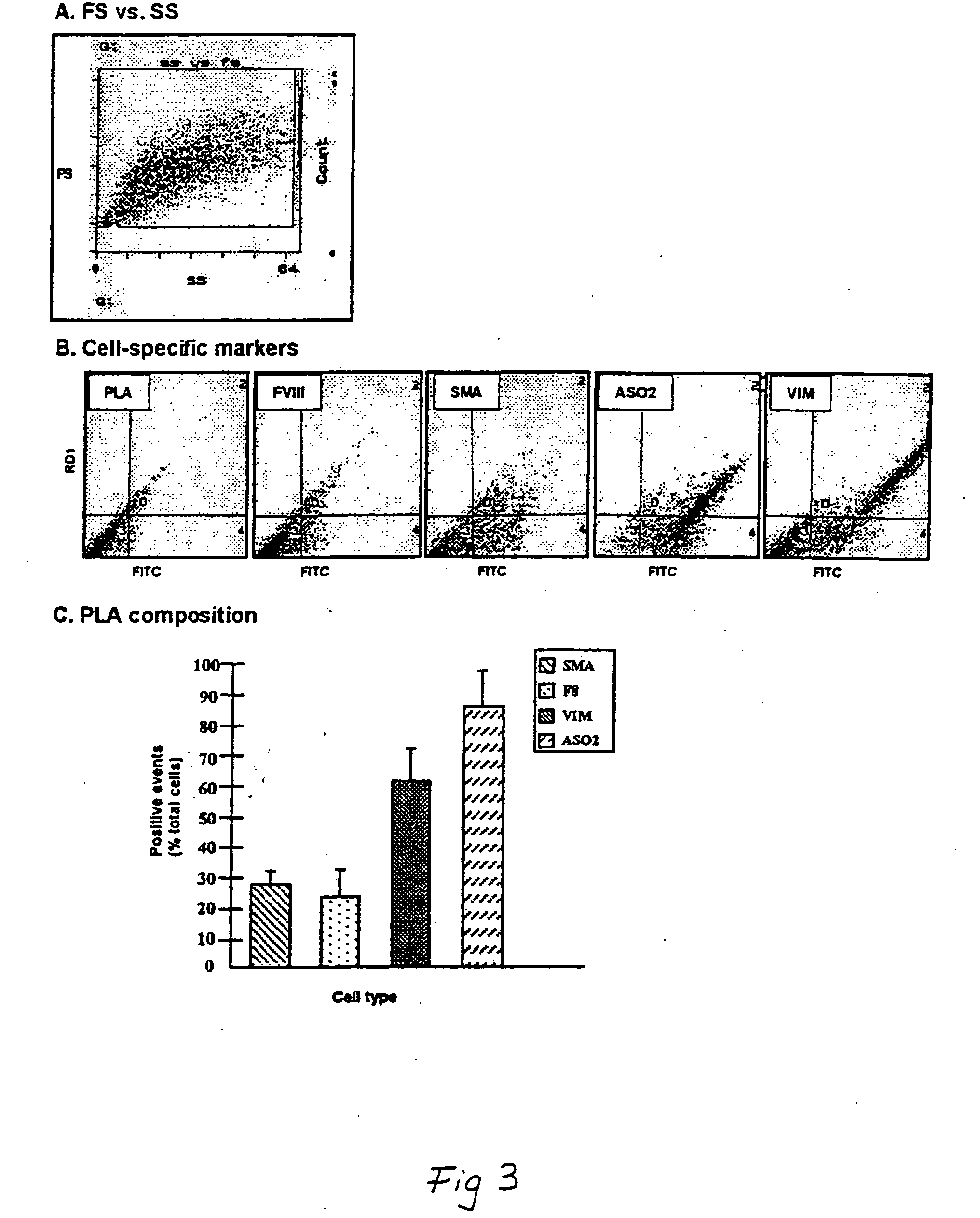 Adipose-derived stem cells and lattices