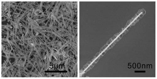 Surface enhancement Raman scattering substrate material, and preparation method and application thereof