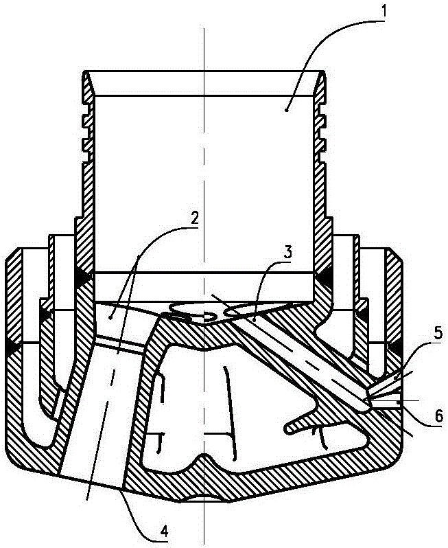 Double-flow oxygen gun and use method thereof