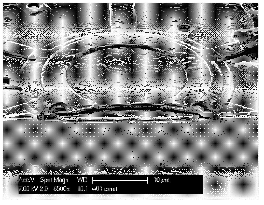 Mems capacitive pressure sensor