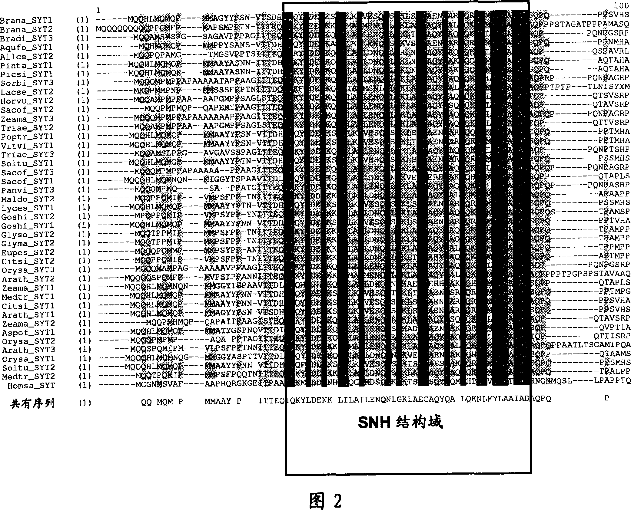 Plants having increased yield and a method for making the same