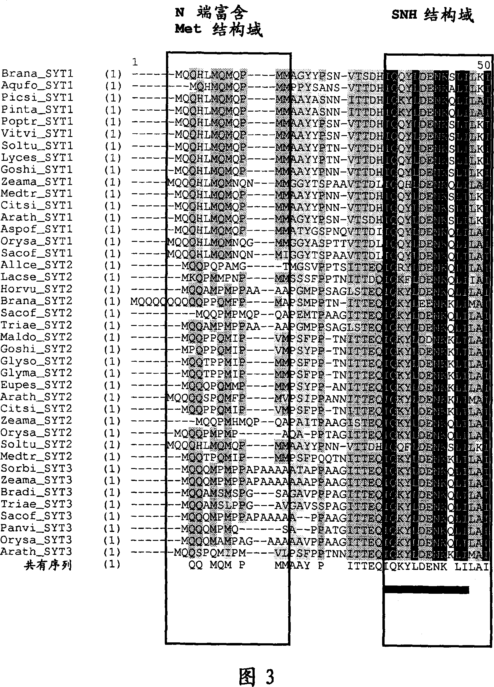 Plants having increased yield and a method for making the same