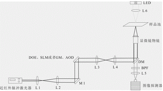 Liquid-phase suspension biochip based on multi-optical trap encoding bead array and two-photon fluorescence detection