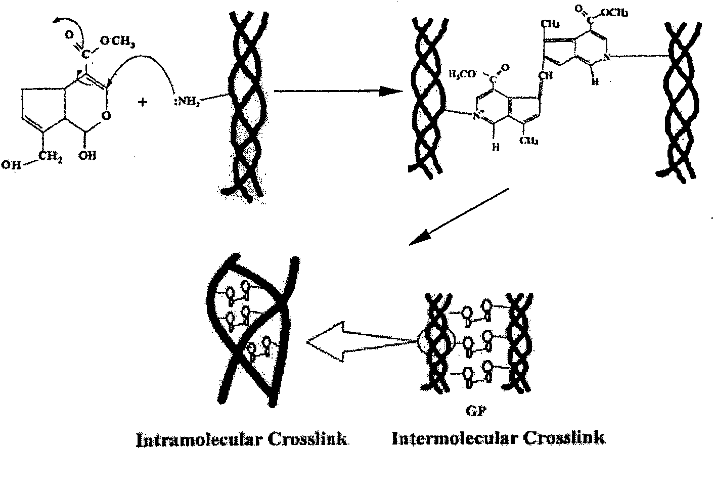 Biological tissue material for artificial esophagus and preparation method thereof