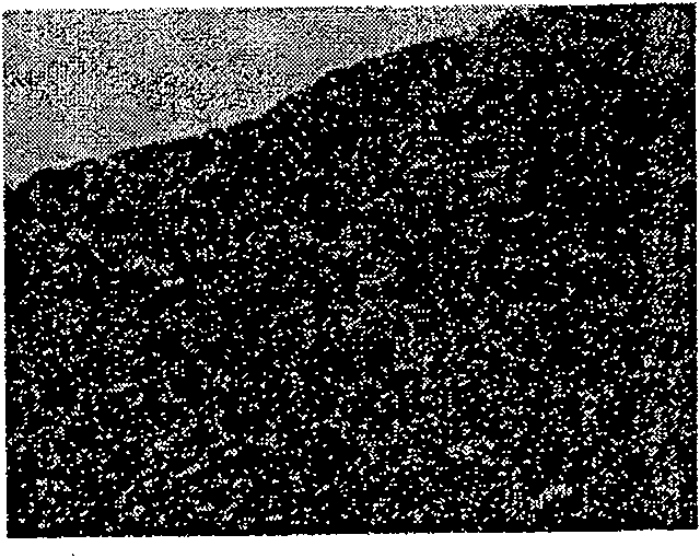 Biological tissue material for artificial esophagus and preparation method thereof