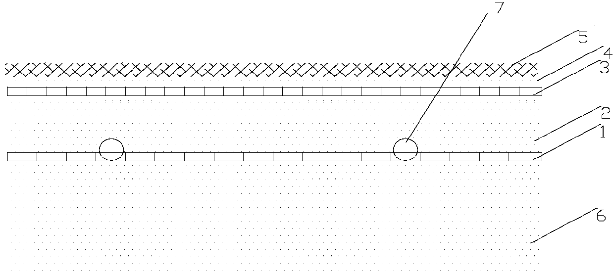 Pinellia ternate ecological planting method