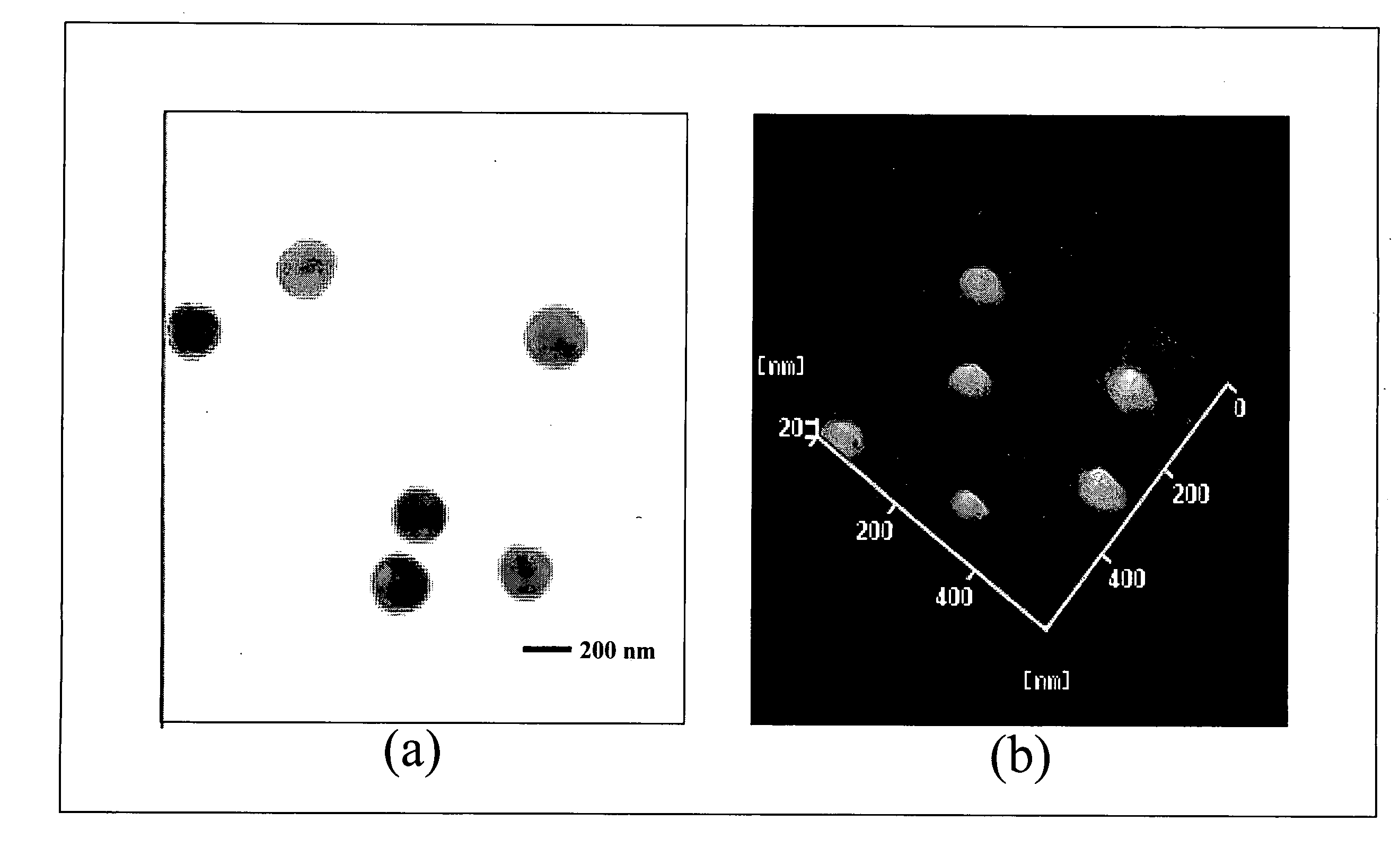 Nanoparticles for protein drug delivery