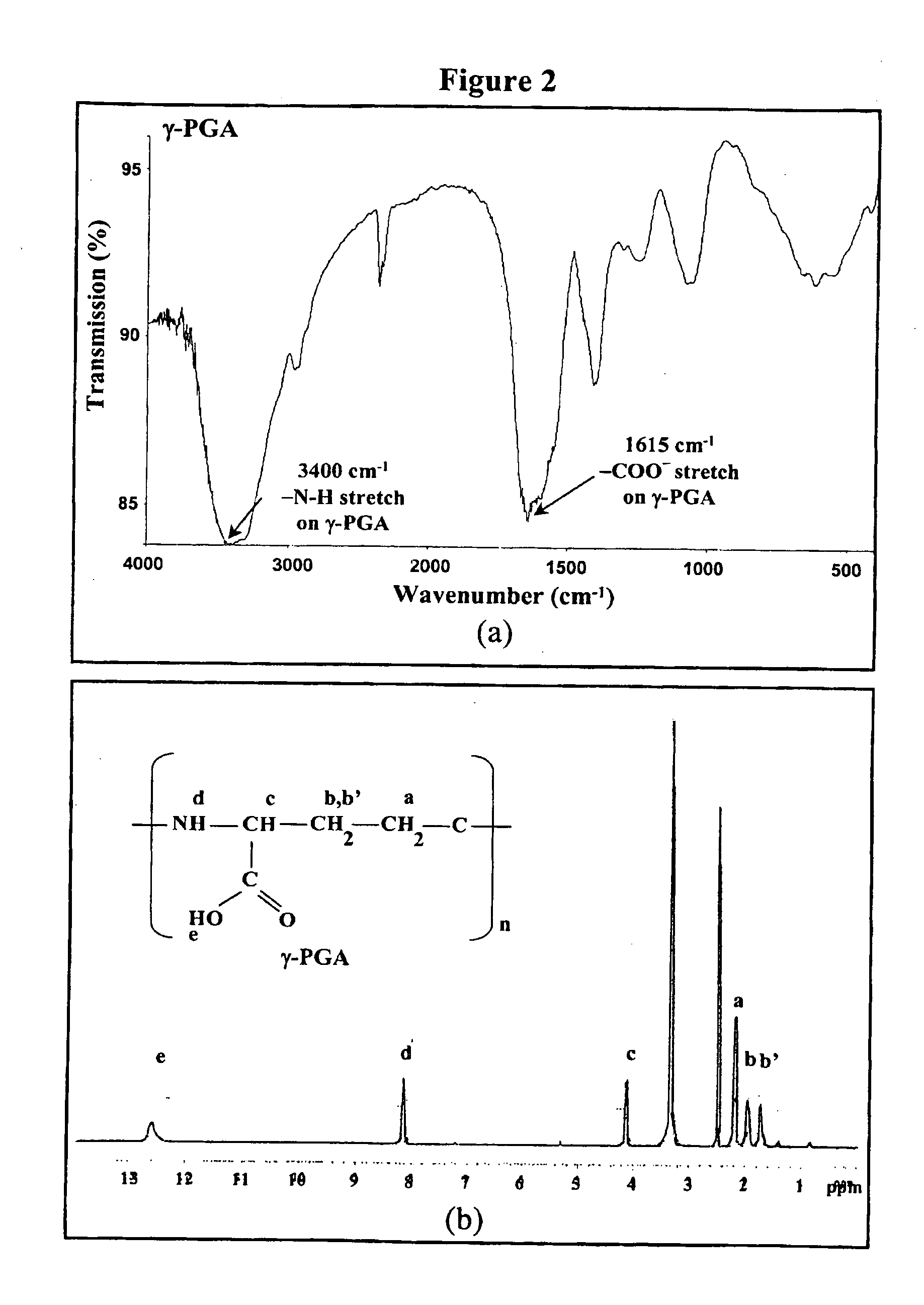 Nanoparticles for protein drug delivery