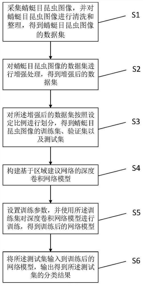 Dragoneye insect identification method based on regional suggestion network