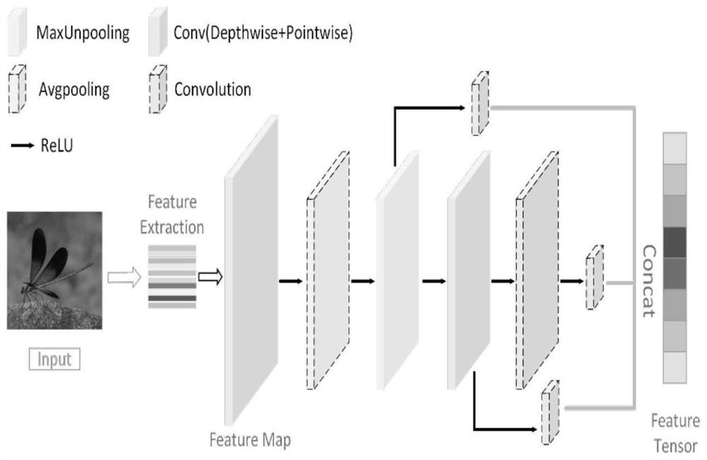 Dragoneye insect identification method based on regional suggestion network