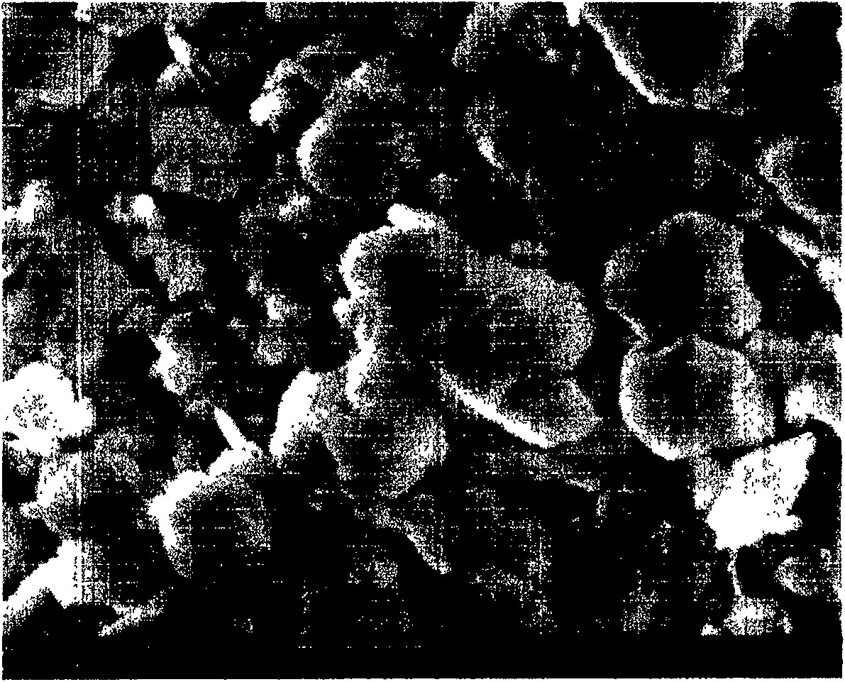 Method for preparing tip addictive material for decreasing tobacco specified nitrosamine in cigarette smoke