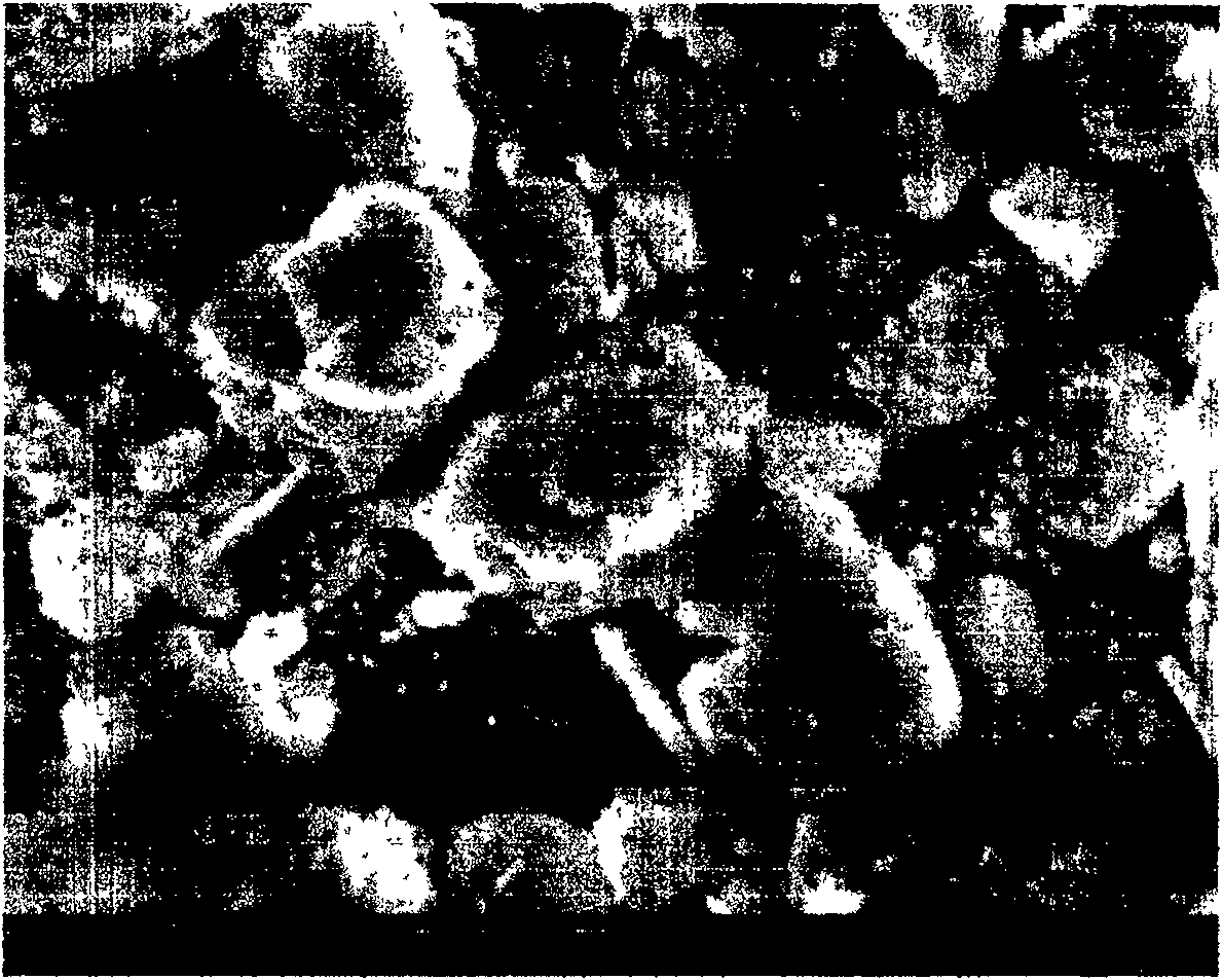 Method for preparing tip addictive material for decreasing tobacco specified nitrosamine in cigarette smoke