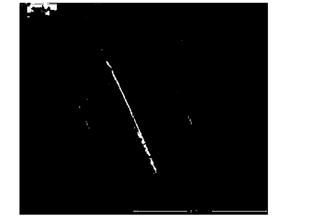 Cold-rolled sheet rolling emulsified oil containing modified nano copper and preparation method thereof