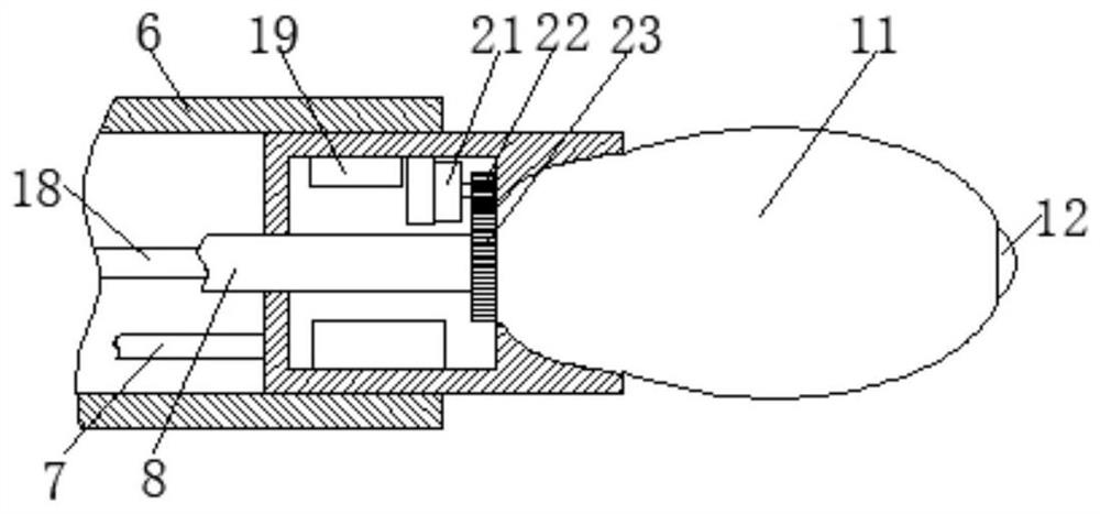 Biopsy sampler for digestive tract tumor