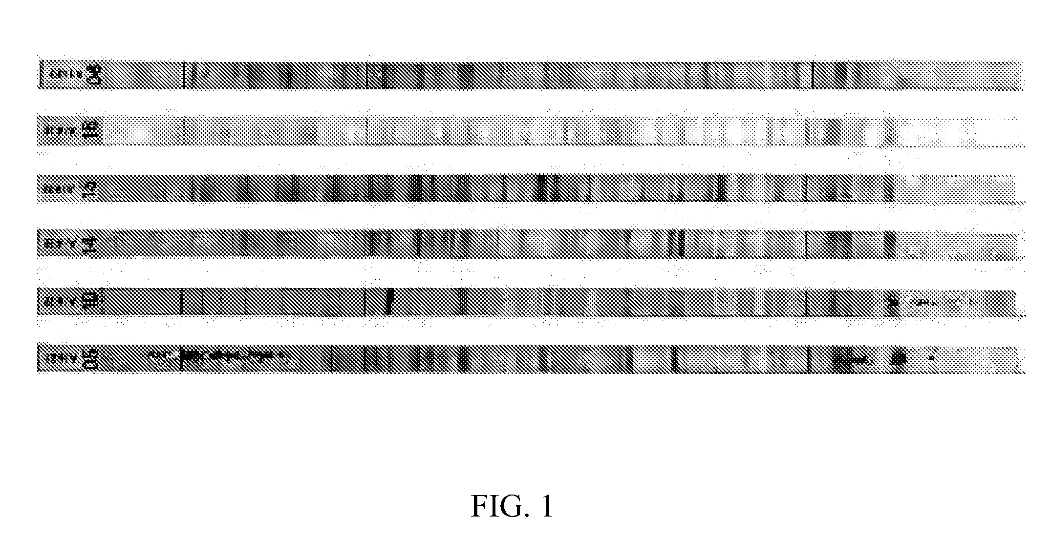 Antibody profiling sensitivity through increased reporter antibody layering