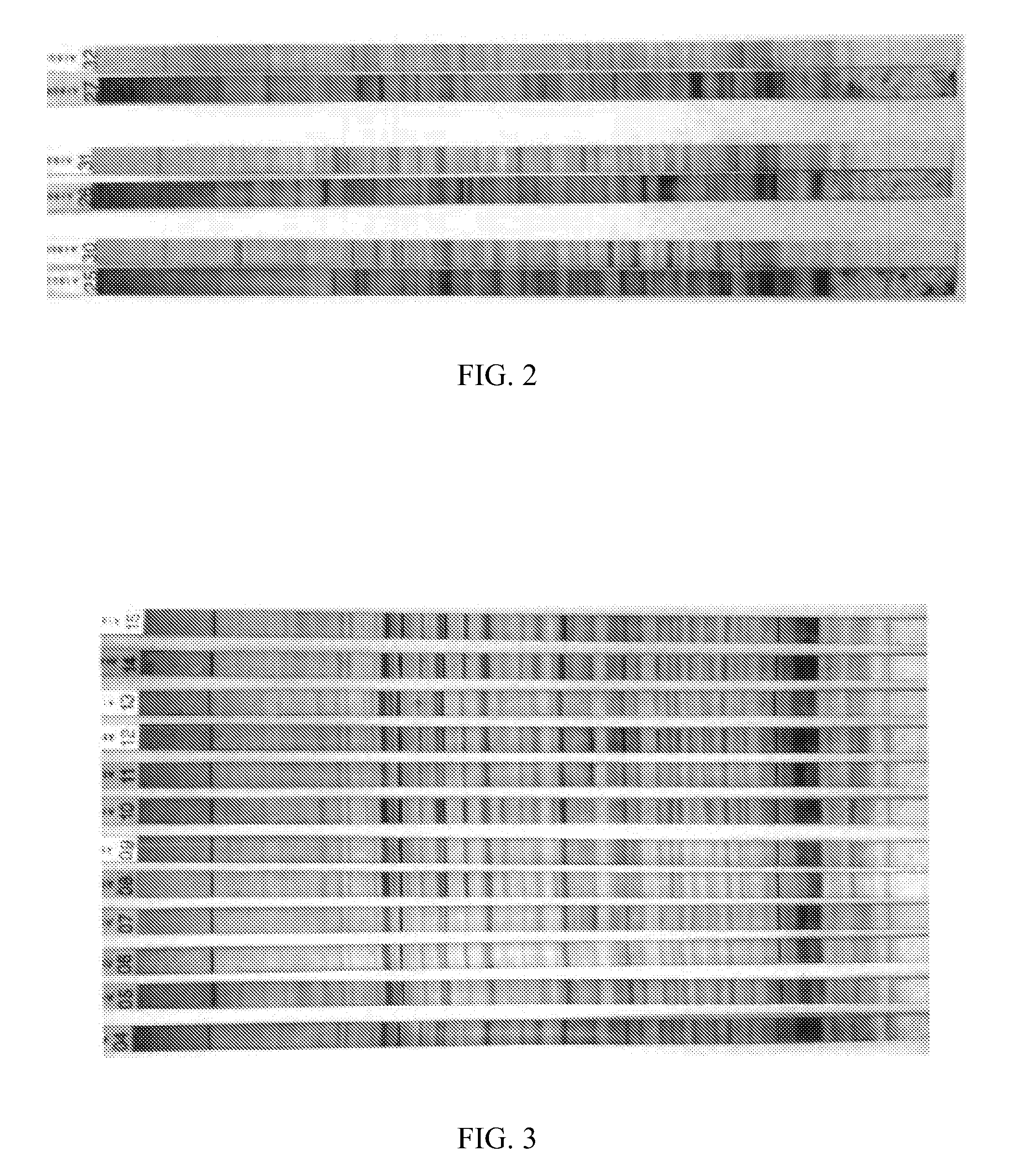 Antibody profiling sensitivity through increased reporter antibody layering