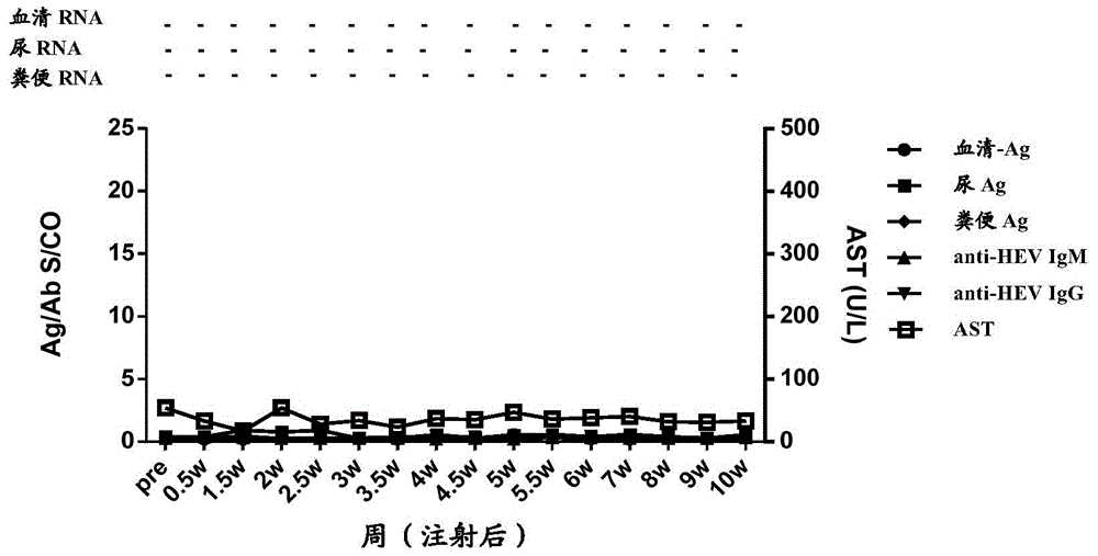 Method for diagnosing hepatitis e virus infection and kit