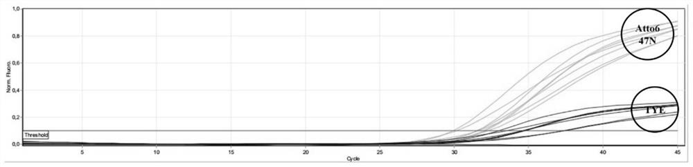 Kit, reaction system and method for detecting pneumocystis jirovecii and drug resistance of pneumocystis jirovecii