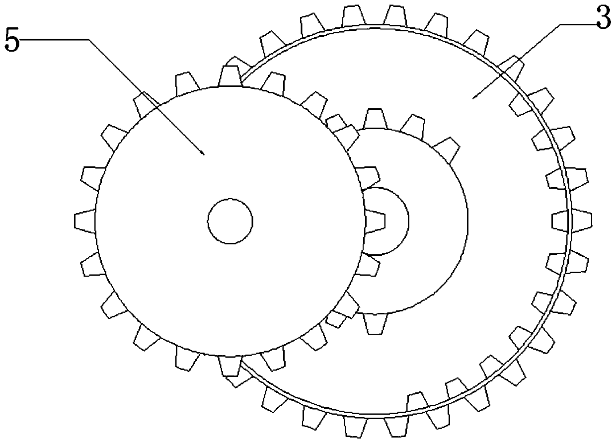 Device for automatically fixing leather shoes on conveying belt for oiling and discharging