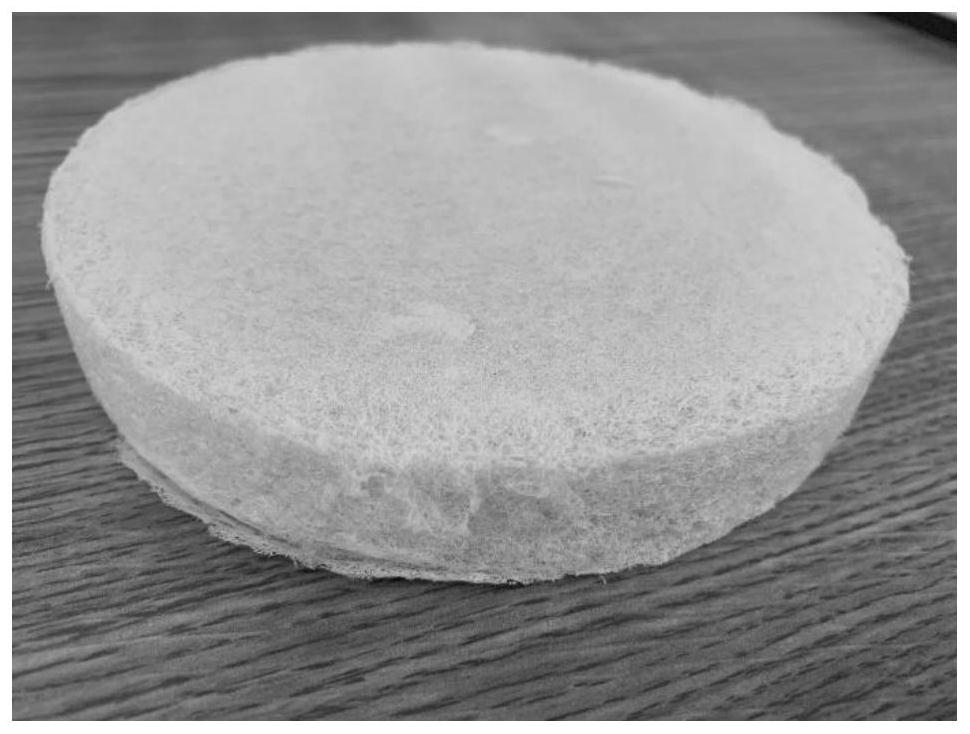 A method for preparing foam material based on ozone-modified bagasse thermomechanical pulp