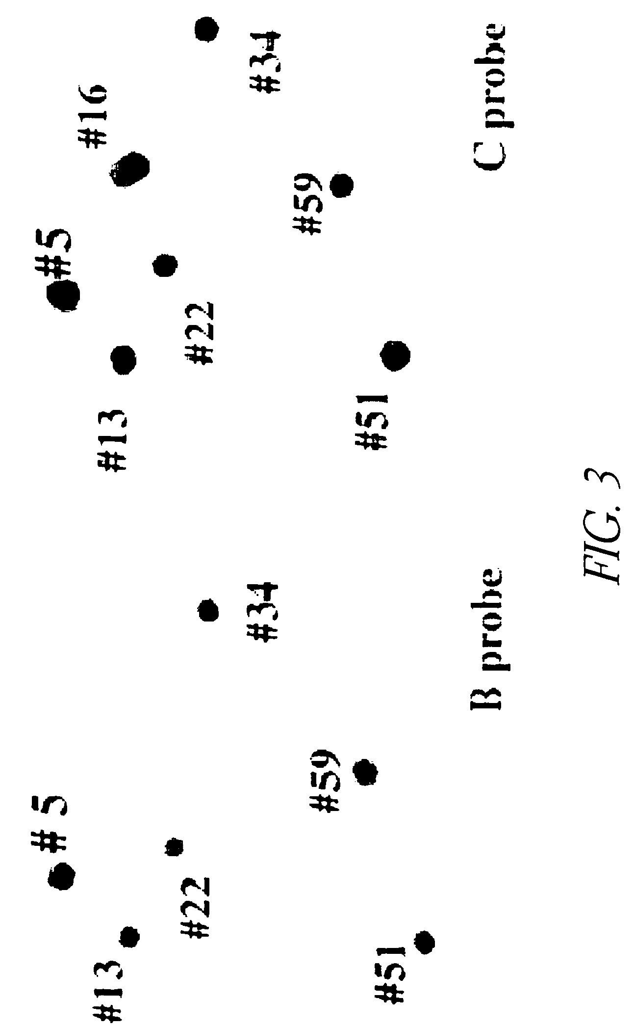 VAC-BAC shuttle vector system