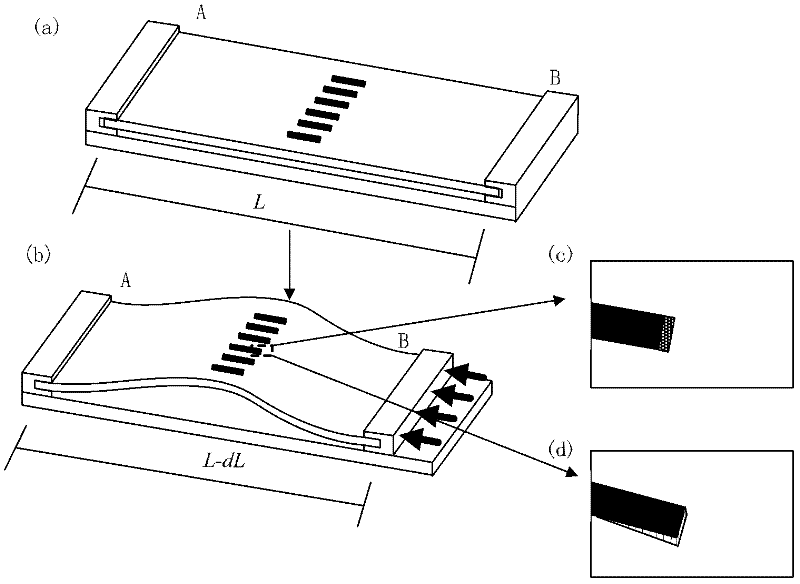 Method for measuring fracture toughness of interface between hard film and soft foundation