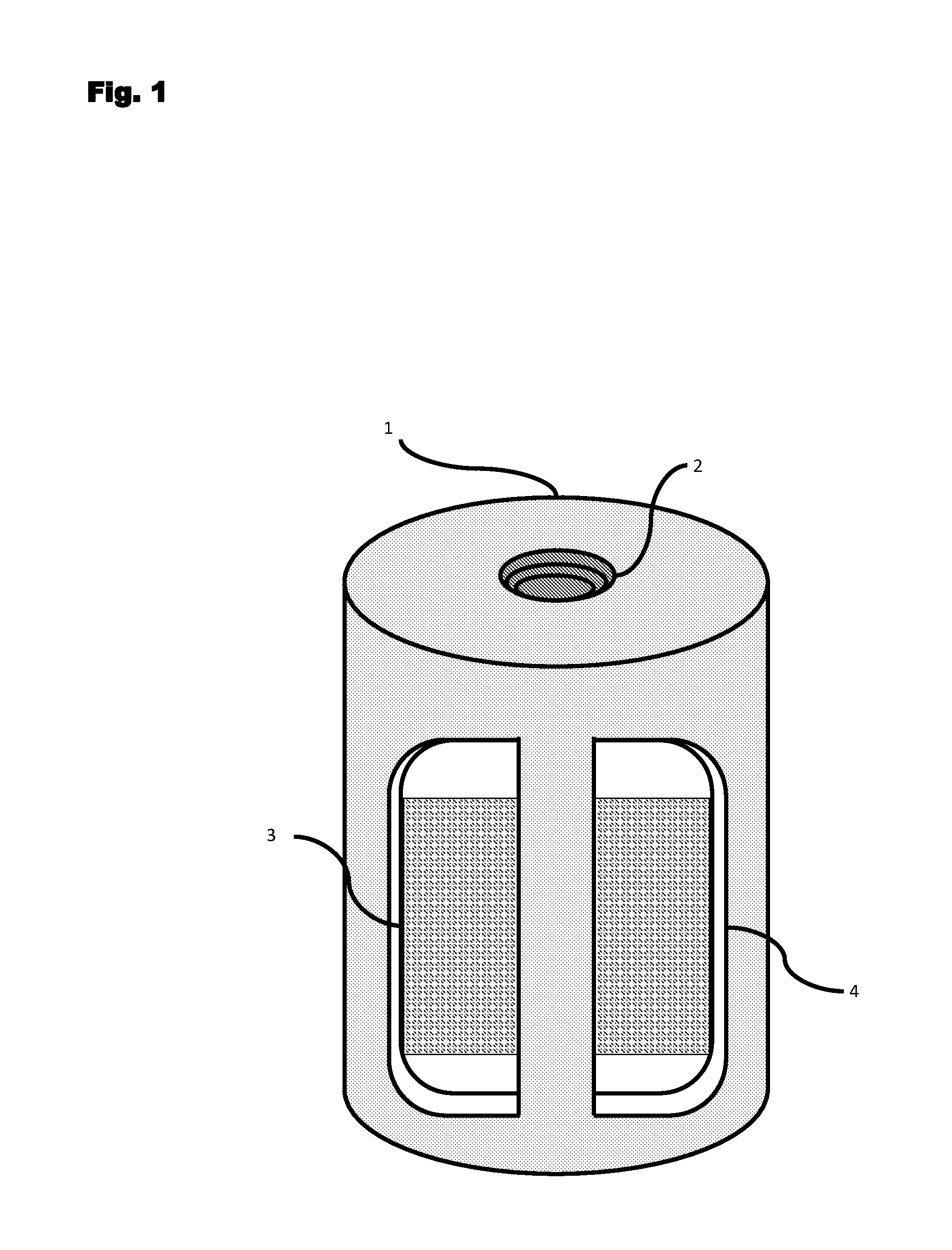 Electrolysis Remediation Device and Method