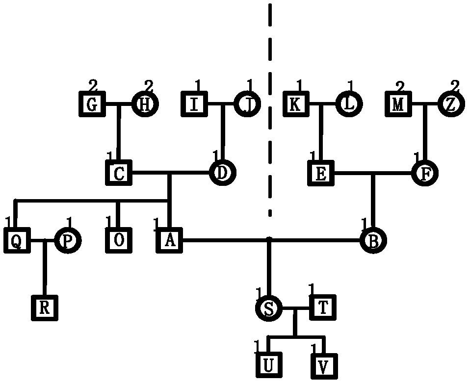 Pedigree chart drawing method and device, and electronic device