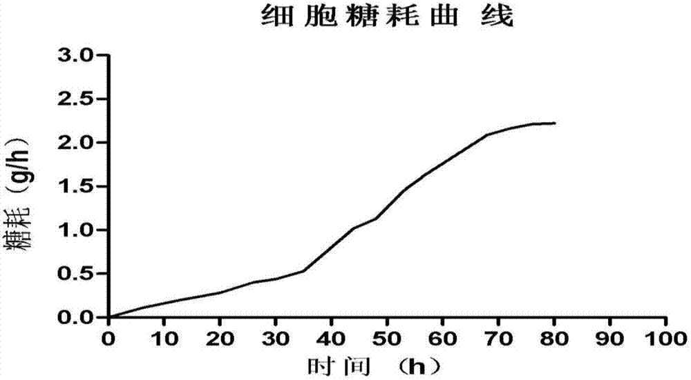 Method for large scale cultivation in bioreactor