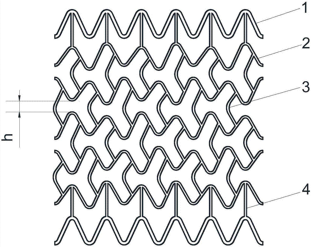 Biodegradable polymer blood vessel support subjected to injection molding