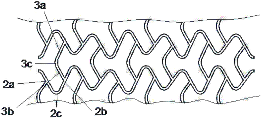 Biodegradable polymer blood vessel support subjected to injection molding