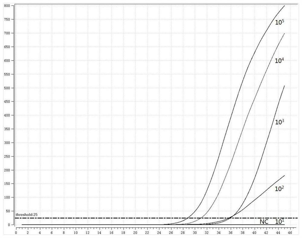 Primer probe group, kit and detection method for multiple detection of enteropathogenic bacteria based on fluorescent RMA method