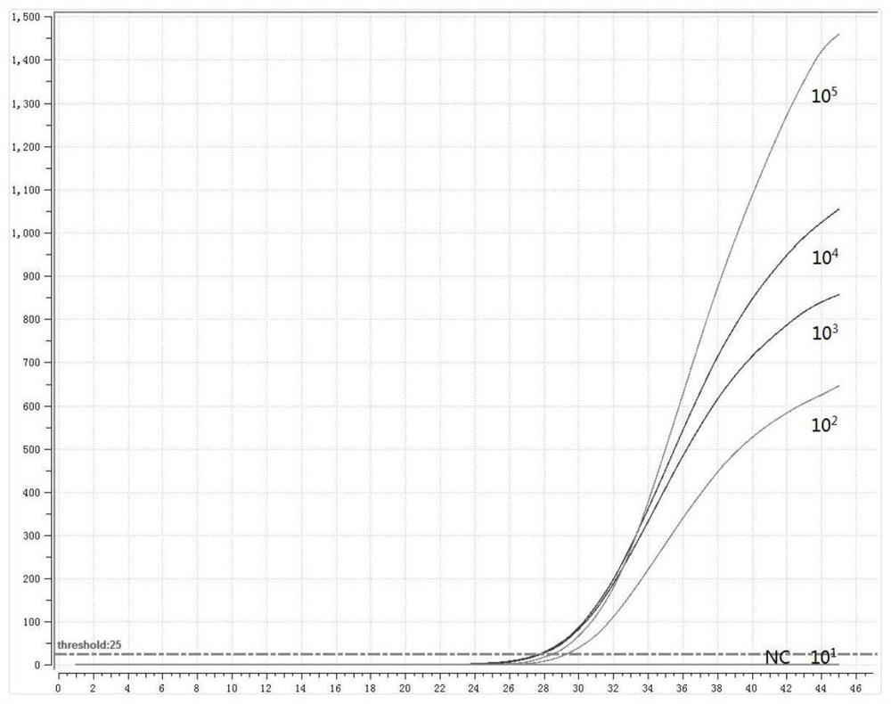 Primer probe group, kit and detection method for multiple detection of enteropathogenic bacteria based on fluorescent RMA method