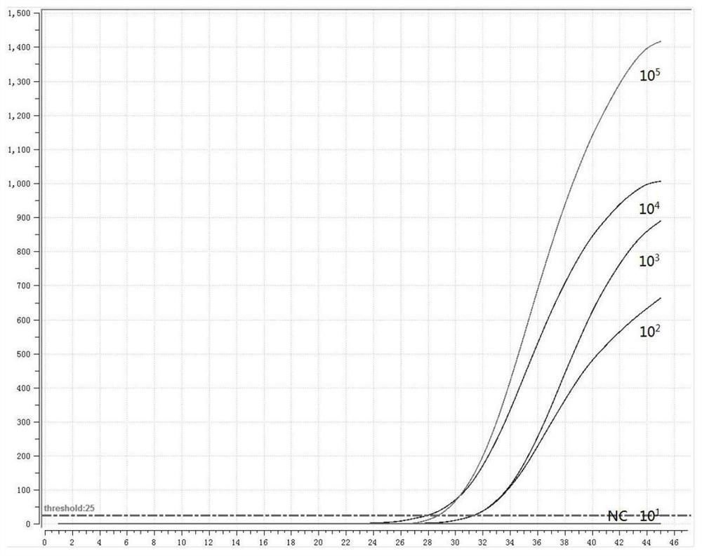 Primer probe group, kit and detection method for multiple detection of enteropathogenic bacteria based on fluorescent RMA method