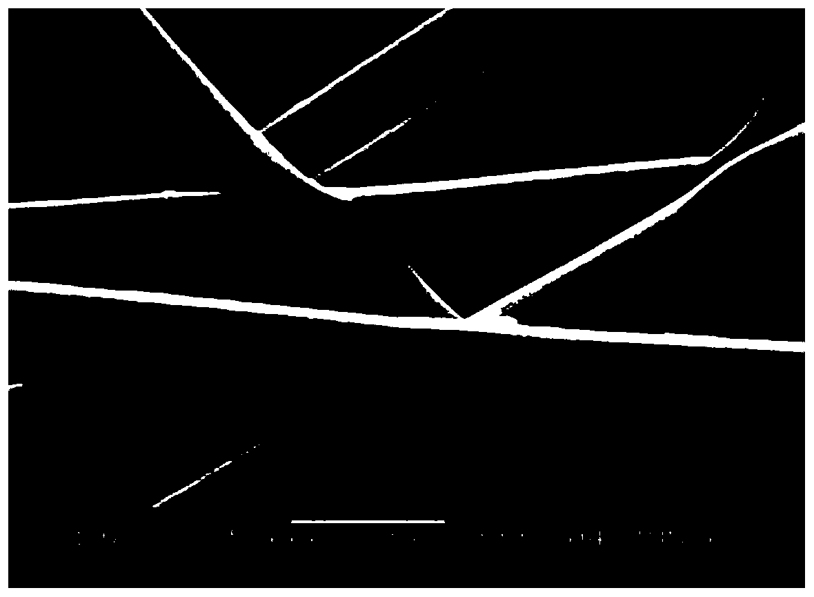 Preparation method of artificial blood vessel