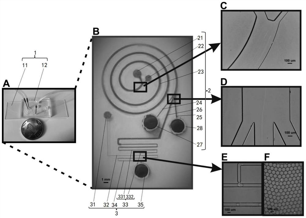 Integrated micro-fluidic chip device and method for separating T cells and amplifying integrated gel incubation droplets