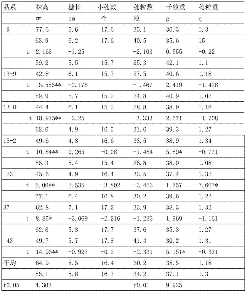 Hybridizing and breeding method of dwarf winter wheat