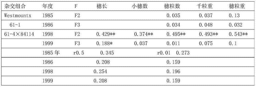 Hybridizing and breeding method of dwarf winter wheat