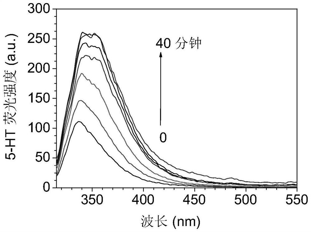 Nano-enzyme and preparation method thereof and application thereof in determination of 5-hydroxytryptamine