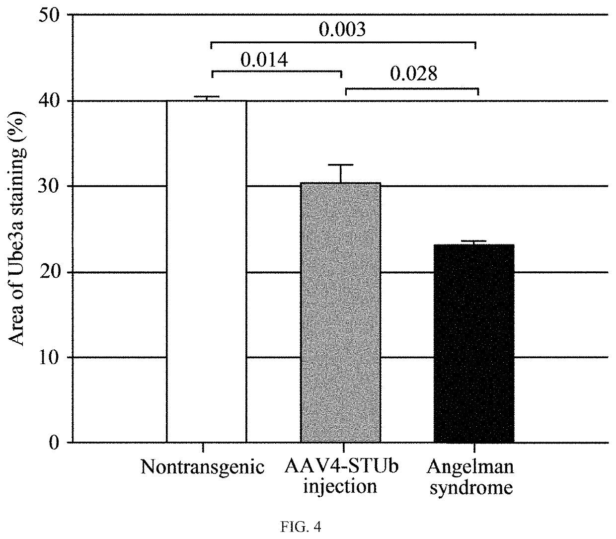 Modified ube3a gene for a gene therapy approach for angelman syndrome