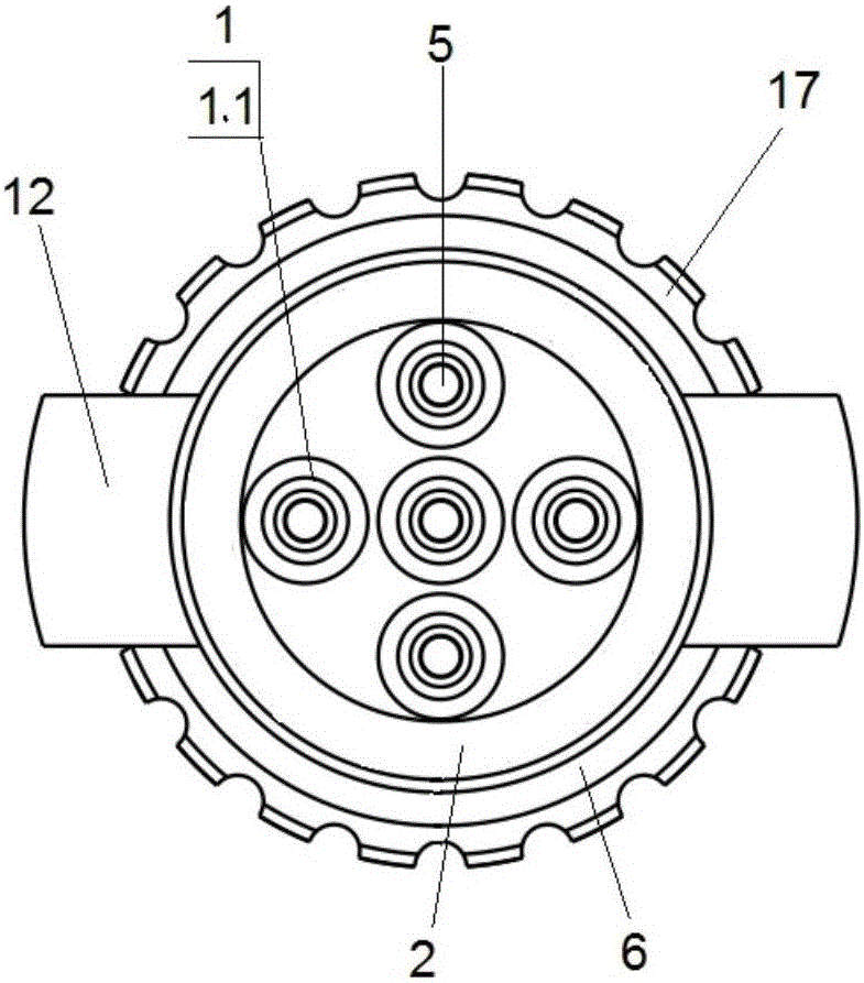 Bio-electrical signal sensor and method using sensor for manufacturing electric signal collecting device