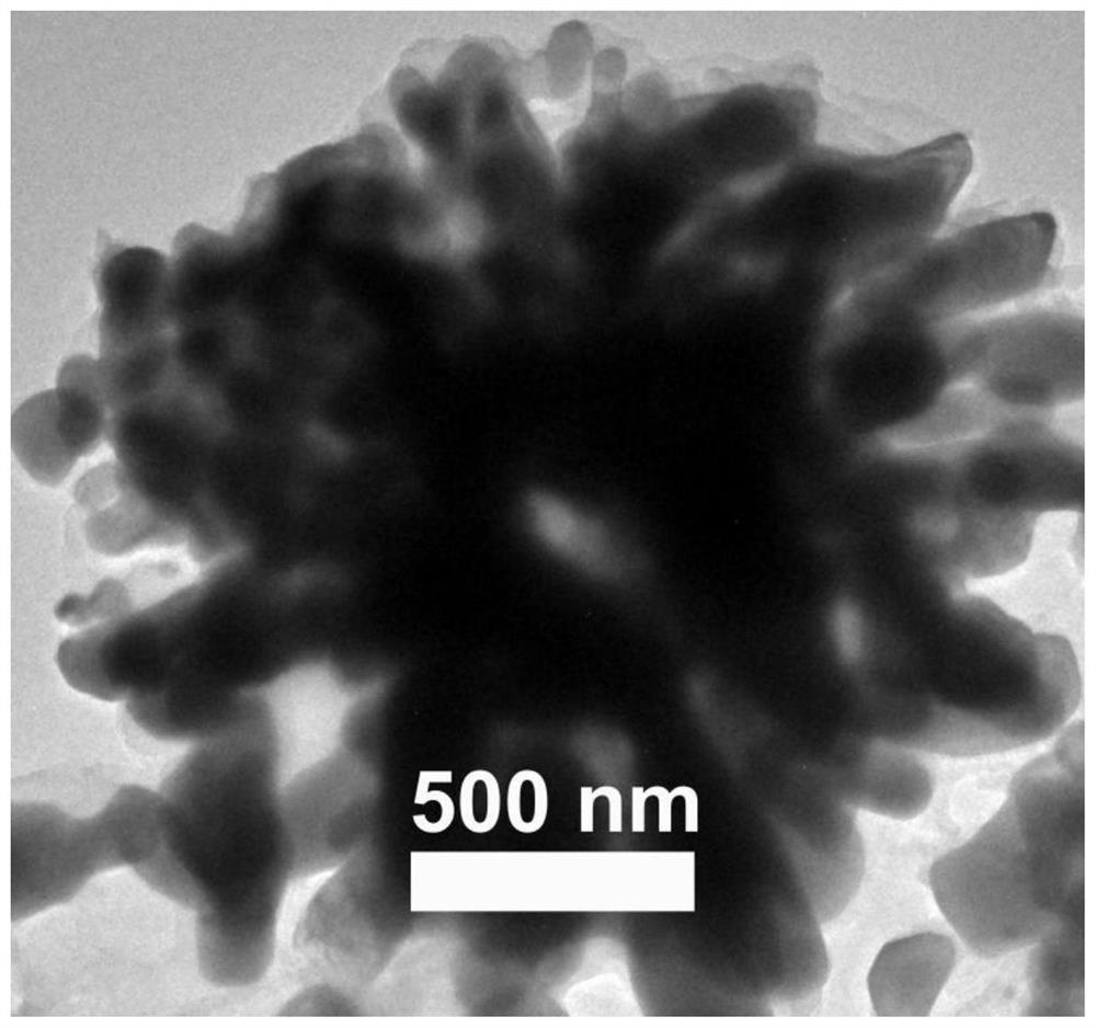 A preparation method of flower-shaped elemental iron submicron particles assembled by nanoparticles