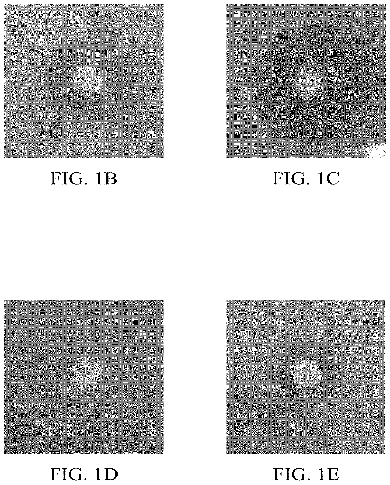 Single-walled carbon nanotube-assisted antibiotic delivery and imaging techniques