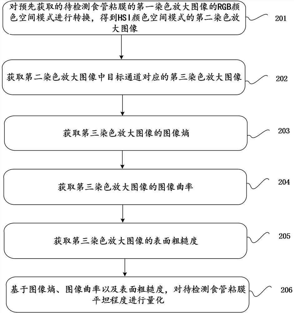 Esophageal mucosa flatness quantification method and device, terminal and storage medium