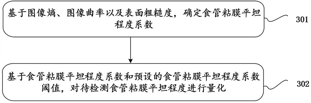 Esophageal mucosa flatness quantification method and device, terminal and storage medium