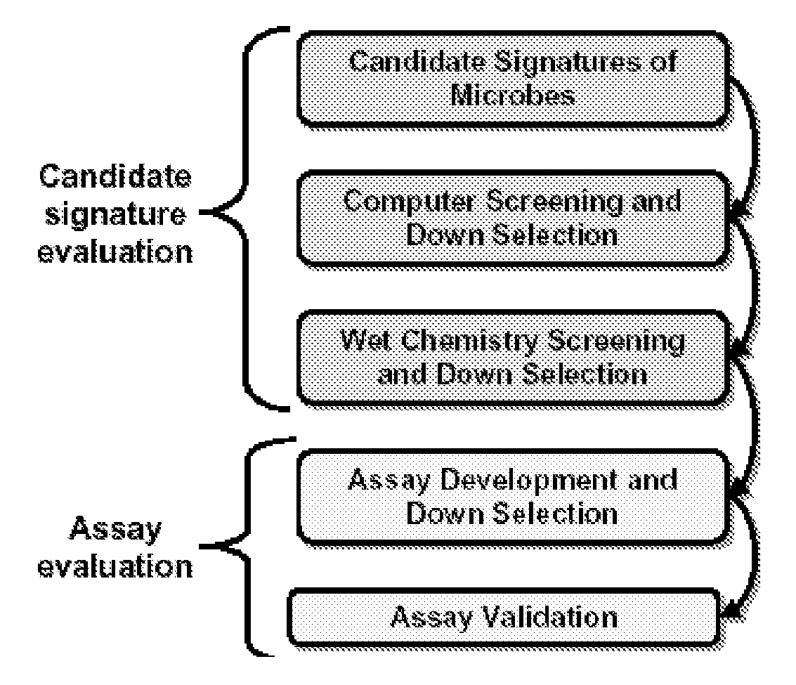 Multiplex detection of respiratory pathogens