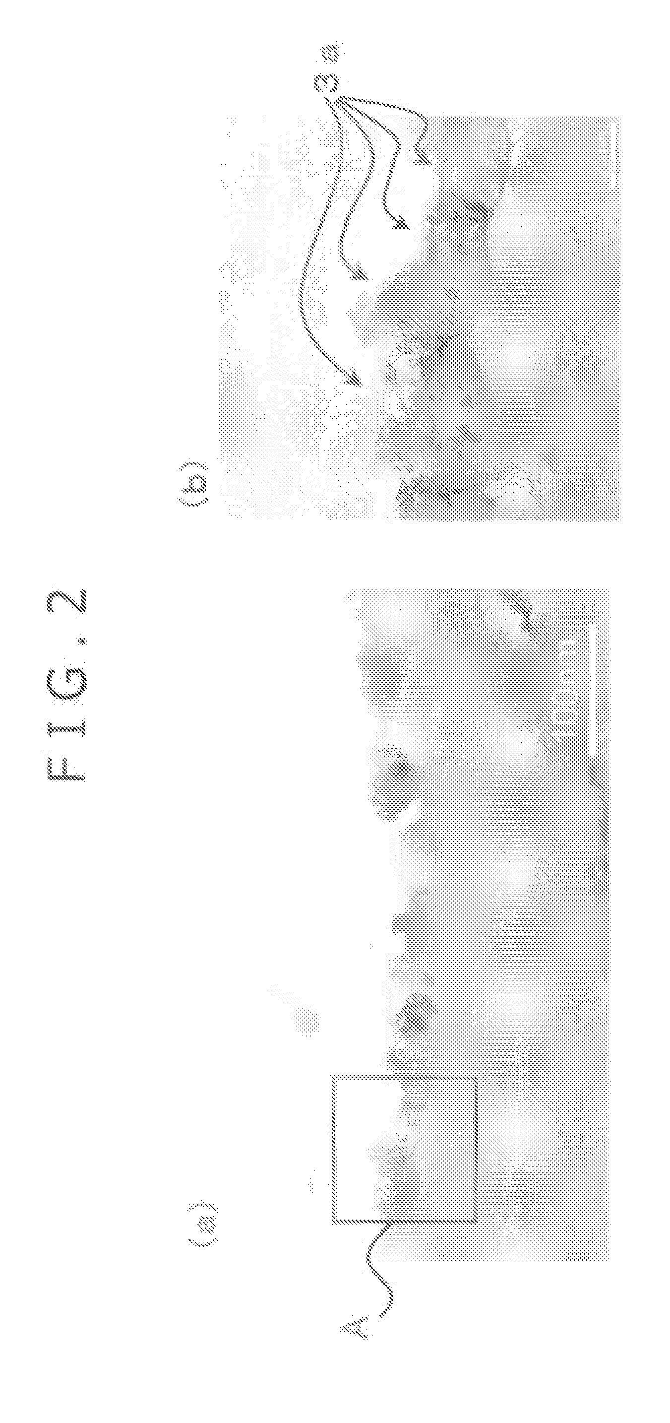 Titanium fuel cell separator